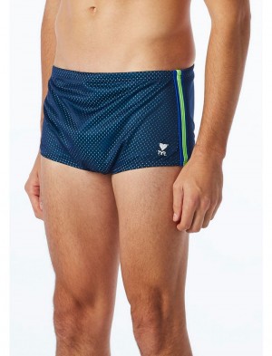 Blue / Green / Navy Tyr Trainer Men's Swim Trunks | US-ZVPT82359