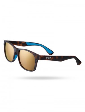 Gold / Brown Tyr Springdale Hts Polarized Women's Sunglasses | US-PLXB93820