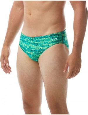 Green Tyr Durafast Elite® Agran Men's Swimsuit | US-TANI36905