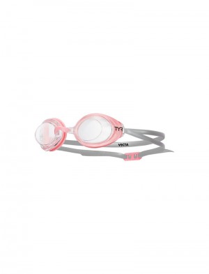 Pink / Grey Tyr Adult Vecta Racing Women's Goggles | US-JWLO81927