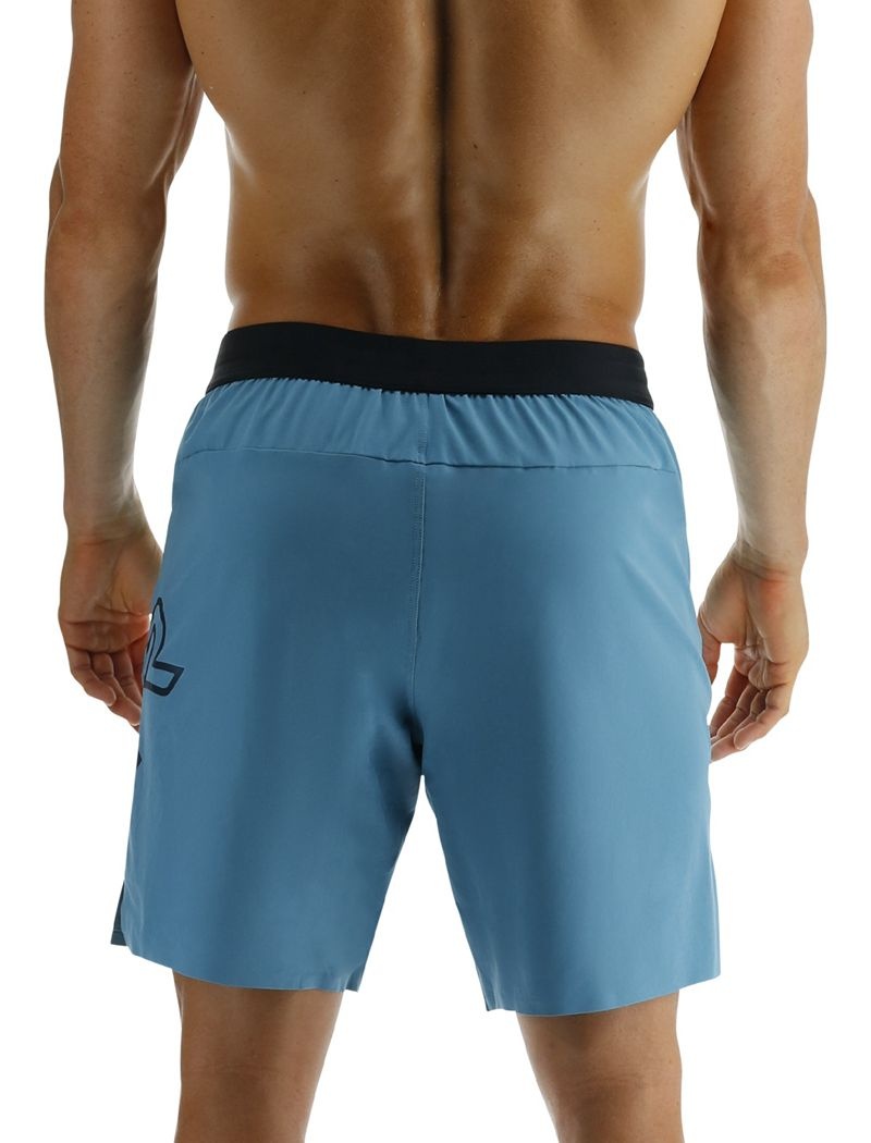 Blue Tyr Hydrosphere™ Lined 7 Unbroken Big Logo Men's Shorts | US-YMVO78359