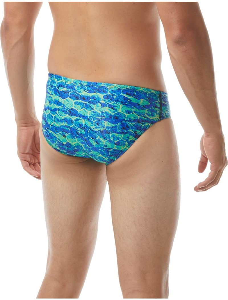 Blue / Green Tyr Durafast Elite® Agran Men's Swimsuit | US-YFRT73452