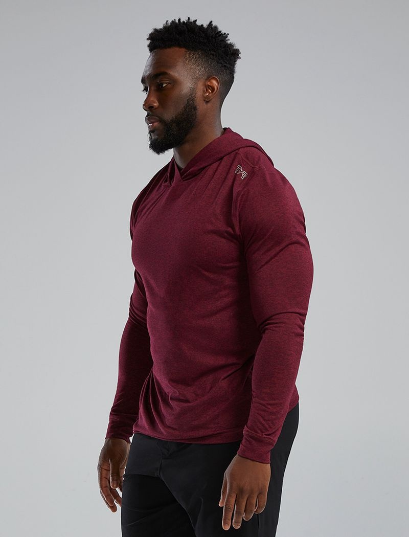 Burgundy Tyr Sls Tech Performance Men's Hoodie | US-IAHY31980