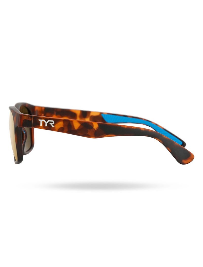 Gold / Brown Tyr Springdale Hts Polarized Men's Sunglasses | US-SKTD90521