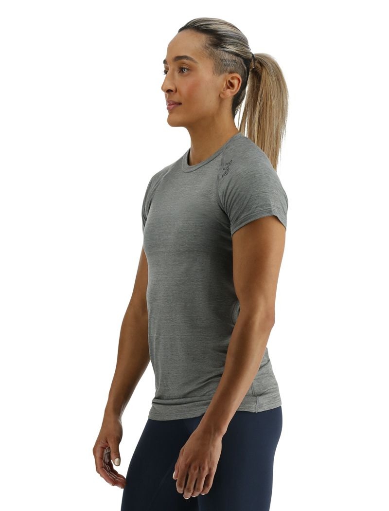 Grey Tyr Climadry™ Raglan Women's T-Shirt | US-OAZC34961