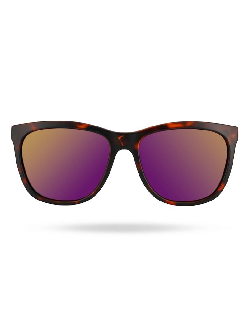 Purple / Brown Tyr Carolita Hts Polarized Men's Sunglasses | US-BNYG59172